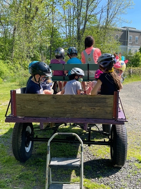 Farm Day Fun
