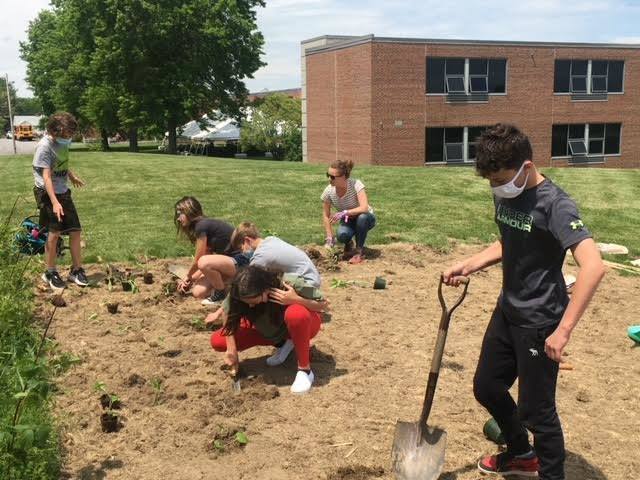 Gardening Project