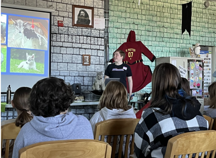 sixth-grade-students-meet-musher-lara-renner-and-her-dogs-marshwood
