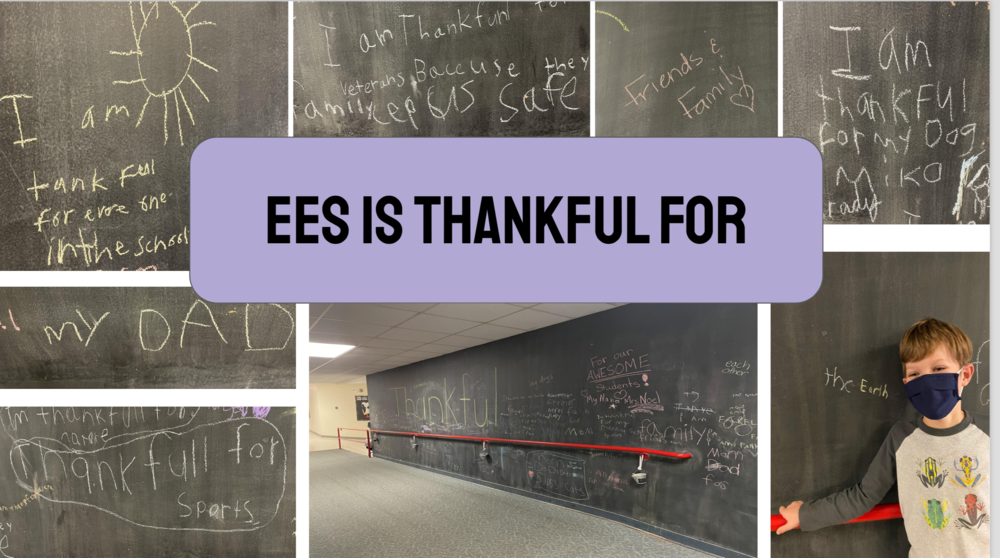 EES is Thankful For
