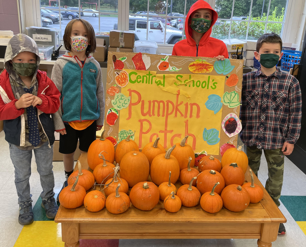 Pumpkin Patch