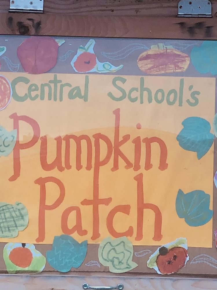 Pumpkin Patch