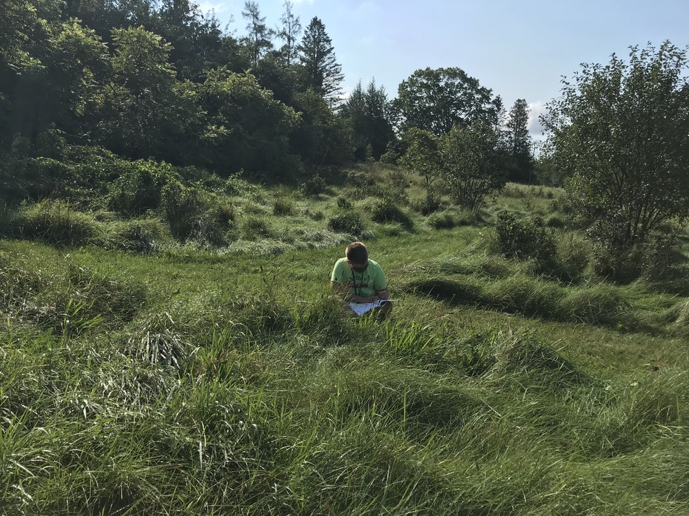 outside